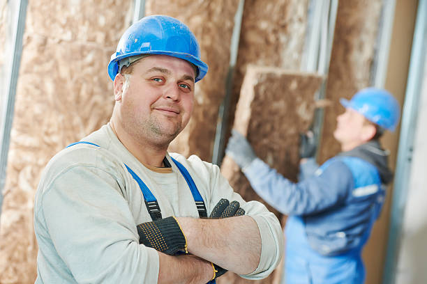 Best Insulation Maintenance and Repair in Dawson, TX